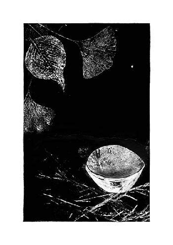 PARA QUE SEAS, nº 5