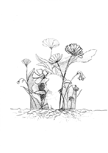 PARA QUE SEAS nº 18