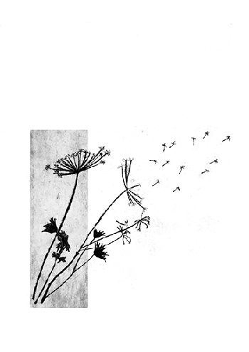 PARA QUE SEAS n&ordm; 7