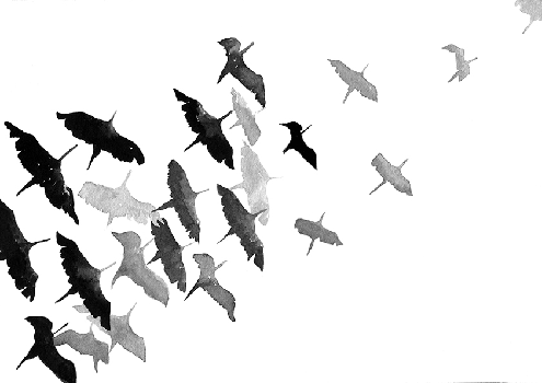 PARA QUE SEAS n&ordm; 13