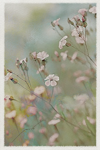 Vuelve la luz y se abren los frutales al color. | Juan Muro Castillo | Drawing | Safe Creative