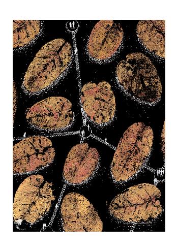 Les sentiers du Silence