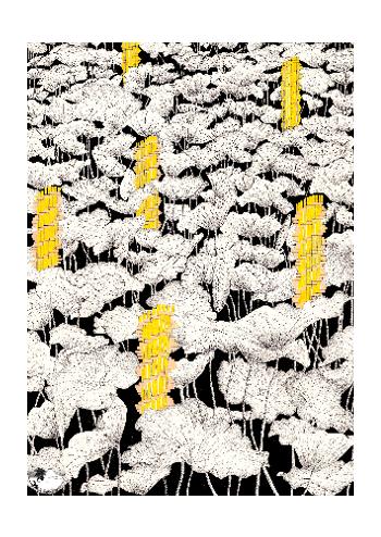 Tisser l’Invisible