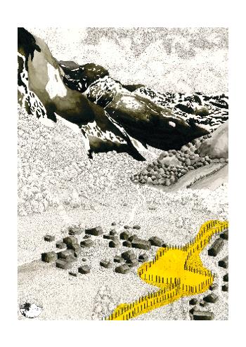 L’Alliance des Cimes et des Hommes