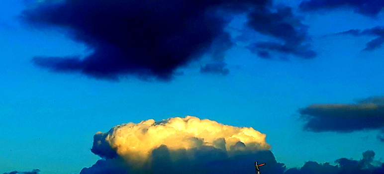 Last Polar Bear | Joseph N&uuml;n | Photo | Safe Creative