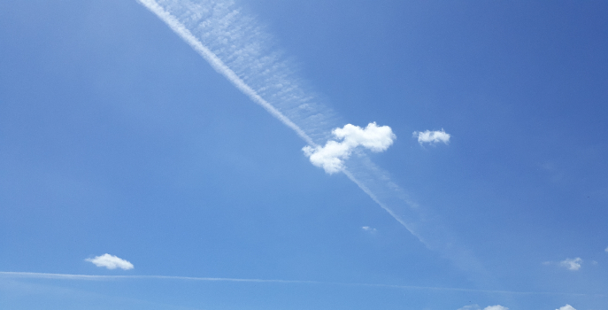 Catch Me | Joseph N&uuml;n | Photo | Safe Creative