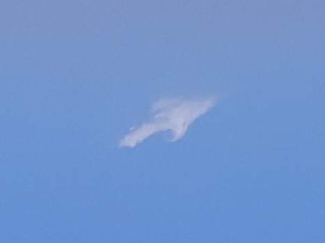 FLECHA | Joseph N&uuml;n | Photo | Safe Creative