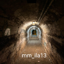 Manuel de los Reyes Febles Díaz