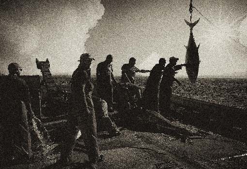 almadraba - levantá atún rojo salvaje - Barbate - Cádiz. España