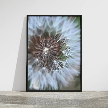Instantes de la naturaleza | LouRed | Photo | Safe Creative