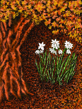 Flores de Oto&ntilde;o-2026 | Carol Sousa Cuello | Painting | Safe Creative