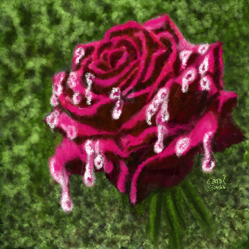 EL LLANTO DE UNA ROSA | Carol Sousa Cuello | Digital art | Safe Creative