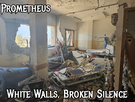 White Walls, Broken Silence